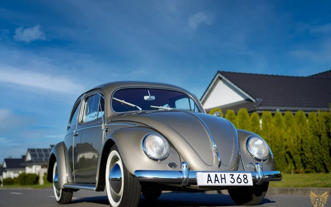 Volkswagen Garbus cena 179000 przebieg: 73845, rok produkcji 1956 z Ostrzeszów małe 742